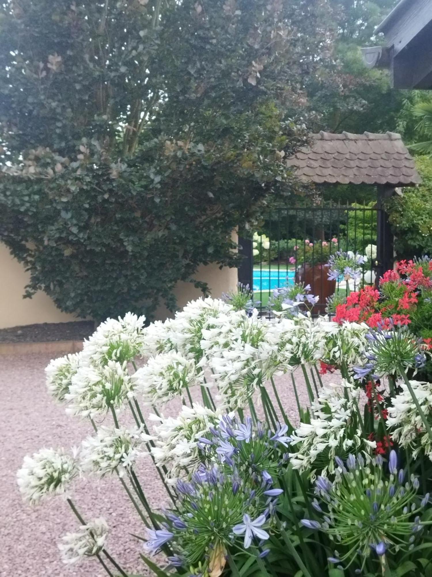 Les Hortensias Fortschwihr Exterior foto